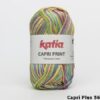 Katia Capri Plus 50-110
