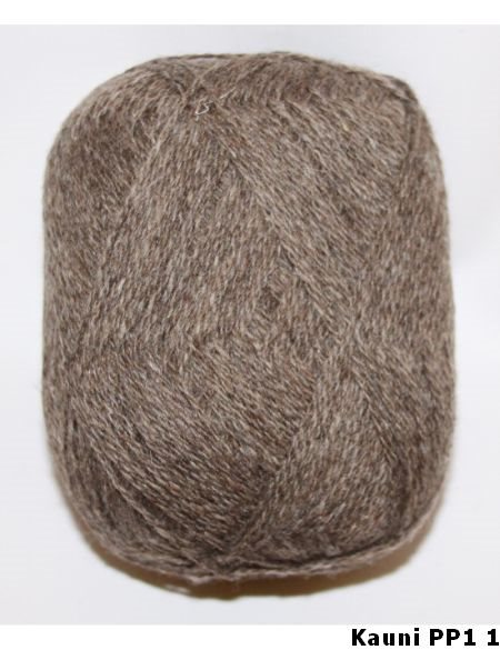 Kauni PP1