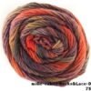 LY Mille Colori Socks & Lace