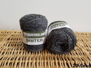 Queensland United 20-29