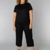Colletta 9000537
