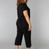 Colletta 9000537